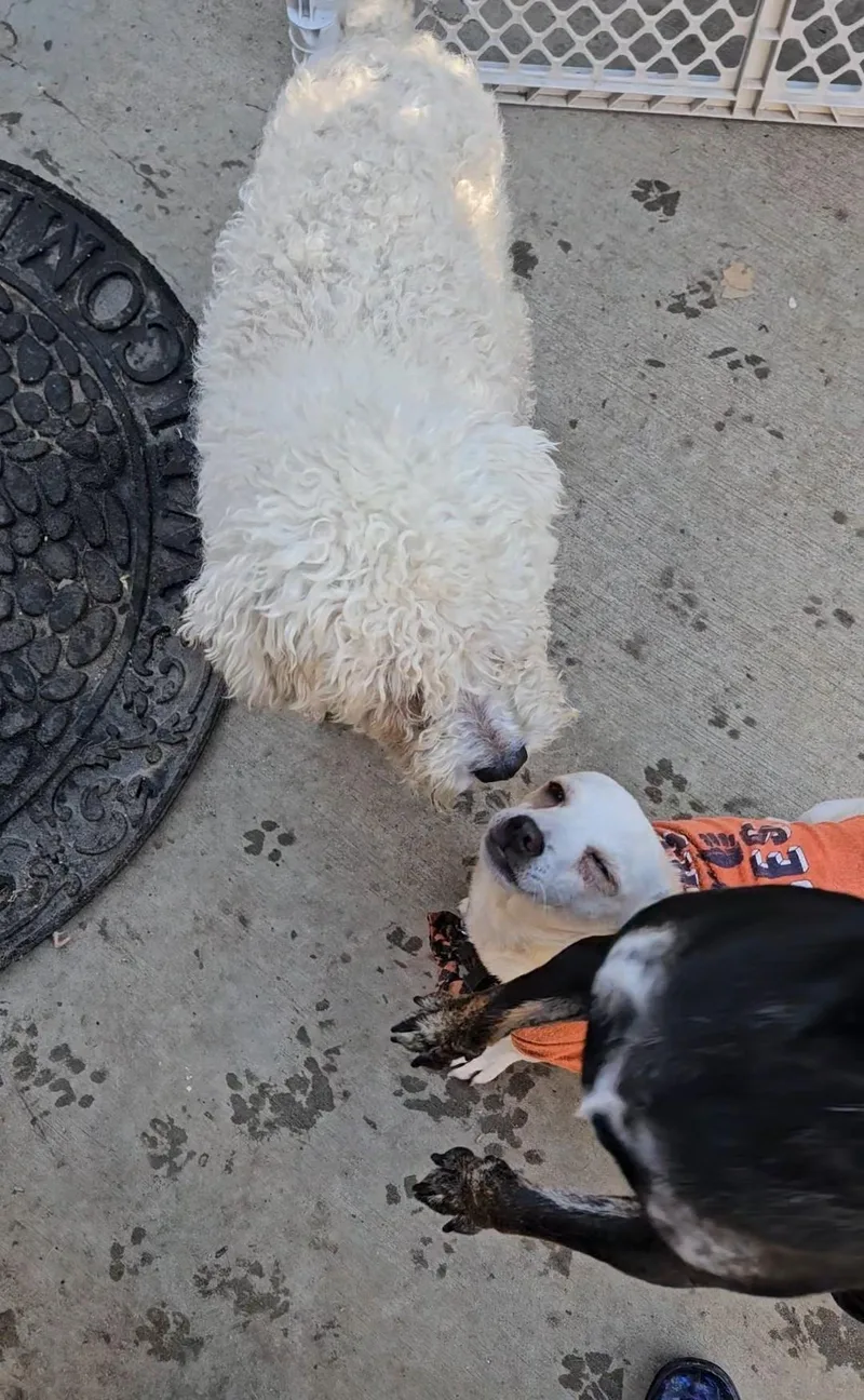 Lucky Eric Charm!! thumbnail 3