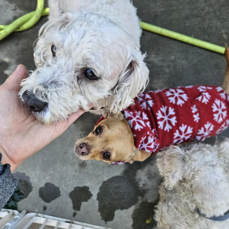 Lucky Eric Charm!! thumbnail 4