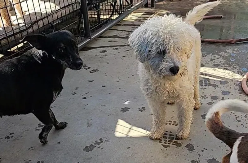 Lucky Eric Charm!! thumbnail 5