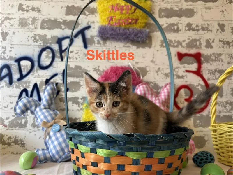 Skittles