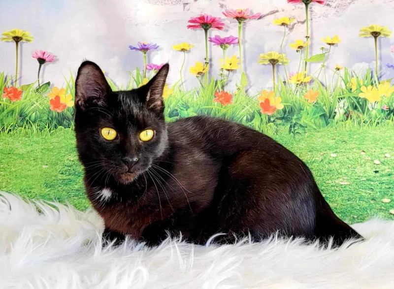 Tallahassee thumbnail 5