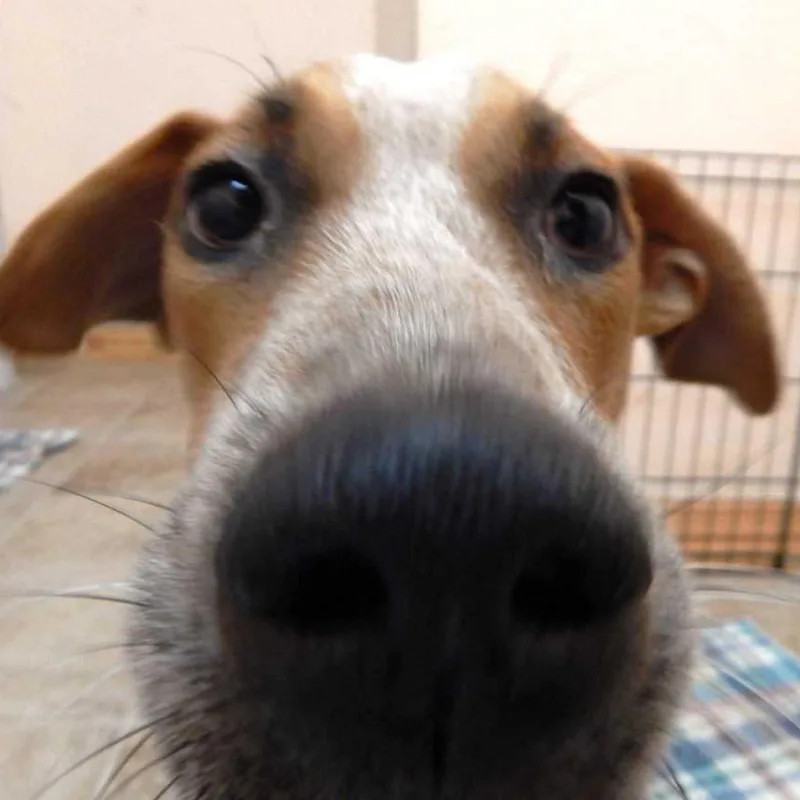 Autumn Fall thumbnail 5