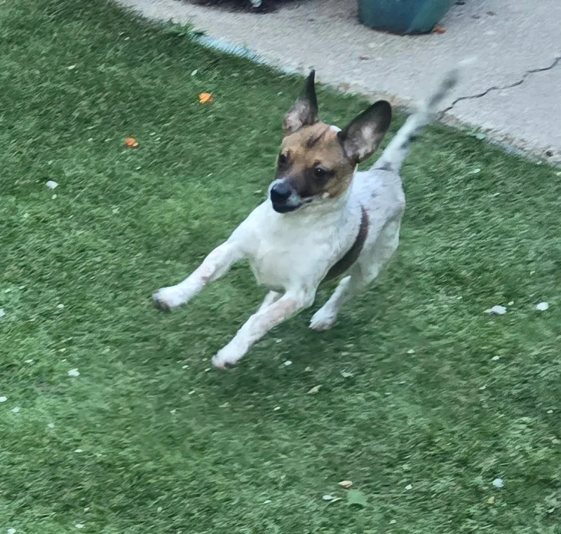Quinn