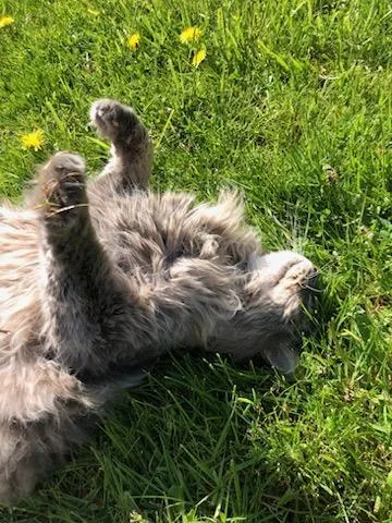 Sebastian