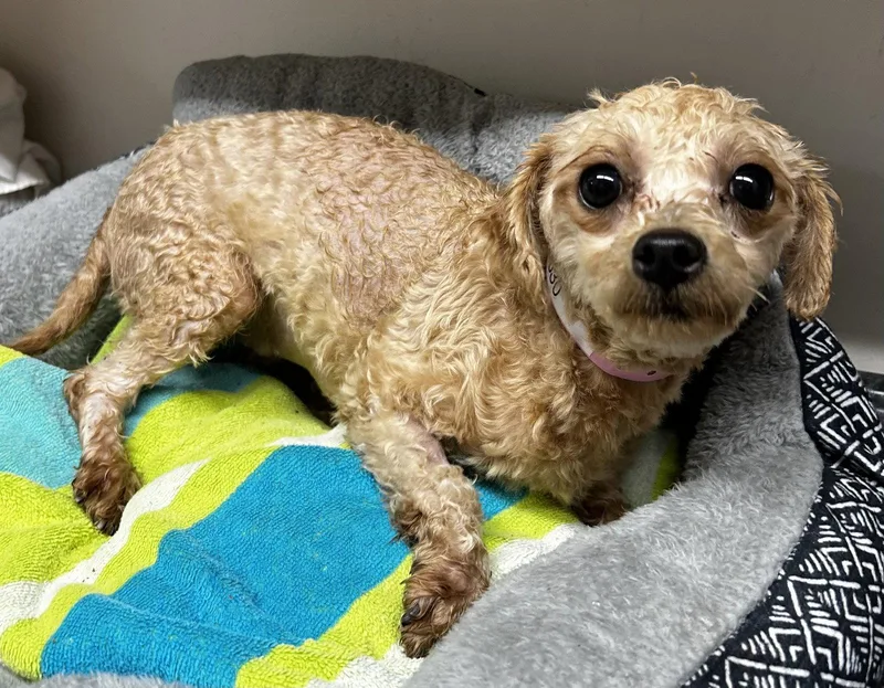 Demi Mar thumbnail 2