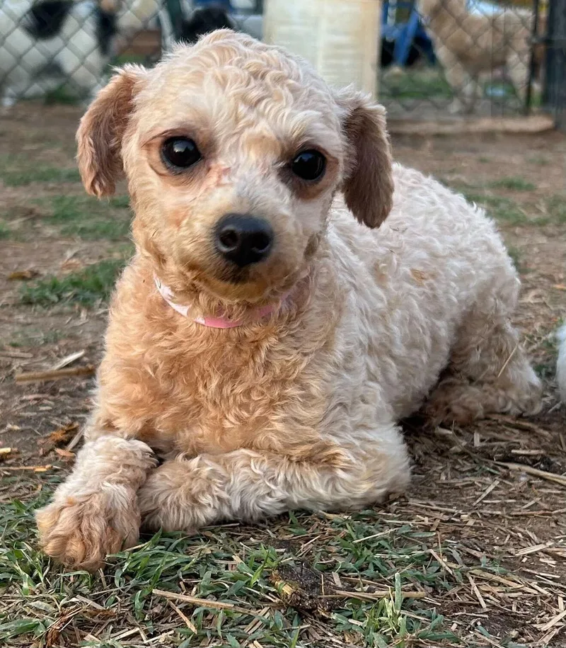 Demi Mar thumbnail 3