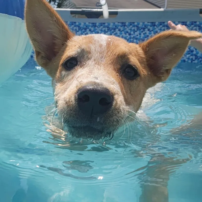 Stormie  Fee Sponsored thumbnail 2