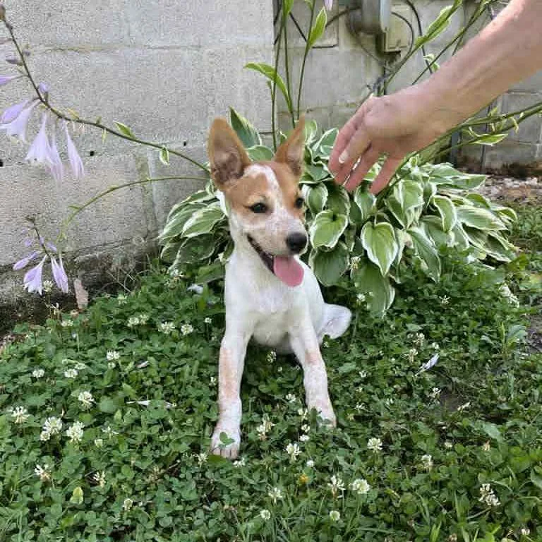 Stormie  Fee Sponsored thumbnail 3