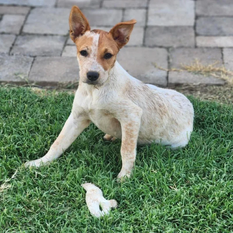 Stormie  Fee Sponsored thumbnail 5