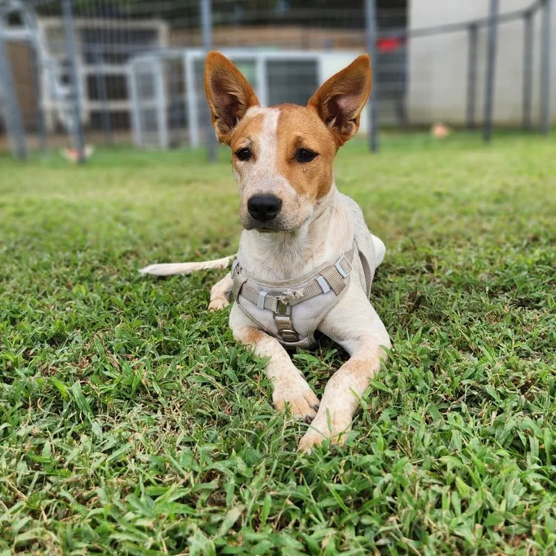 Stormie  Fee Sponsored thumbnail 6