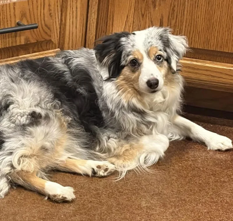 Lulacholula thumbnail 4