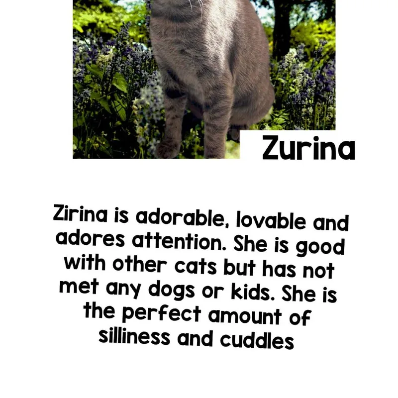 Zurina thumbnail 2