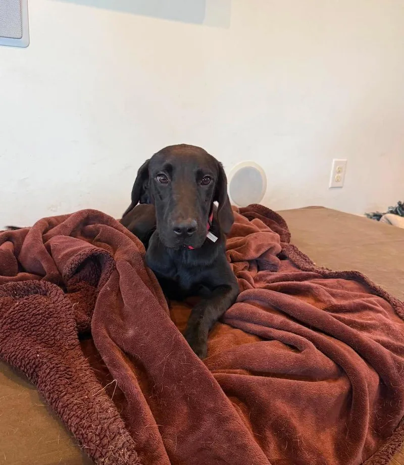Binx thumbnail 4