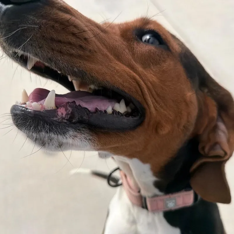 Dee Dee thumbnail 5
