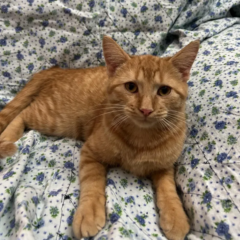 Sundance thumbnail 2