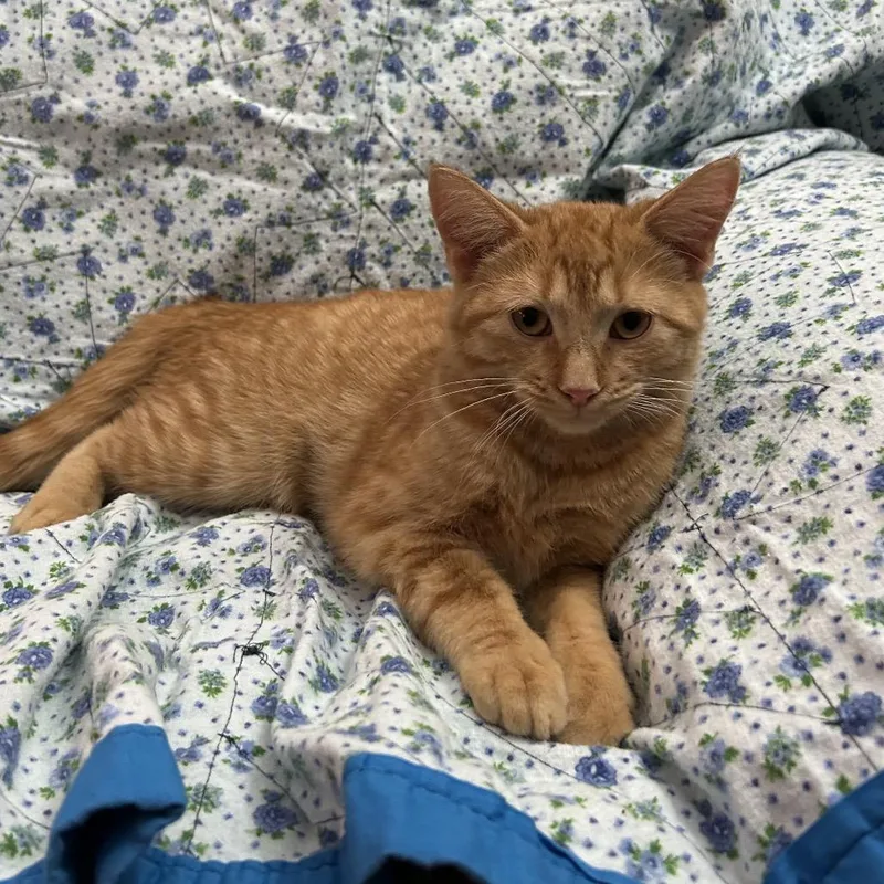 Sundance thumbnail 3