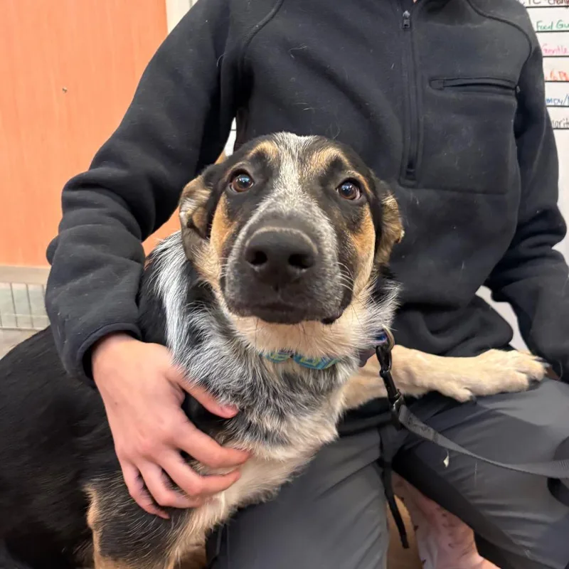 Remielle thumbnail 2