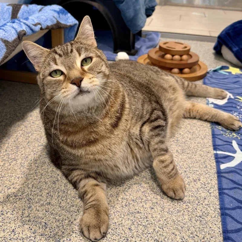 Oliver Fish thumbnail 2