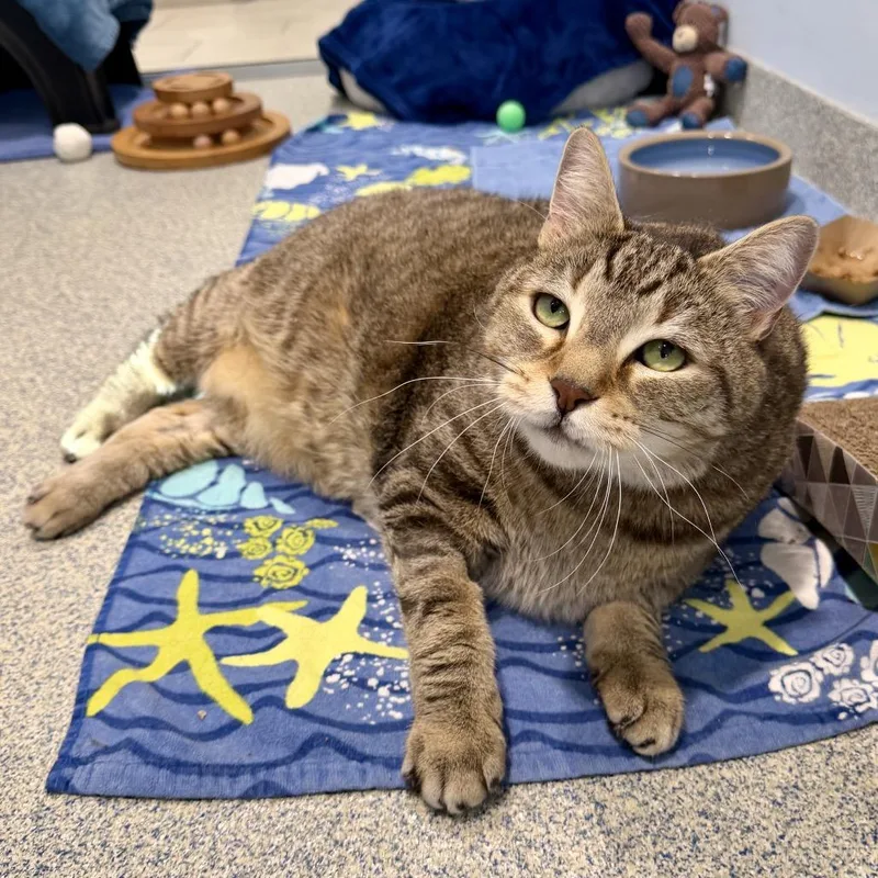 Oliver Fish thumbnail 3