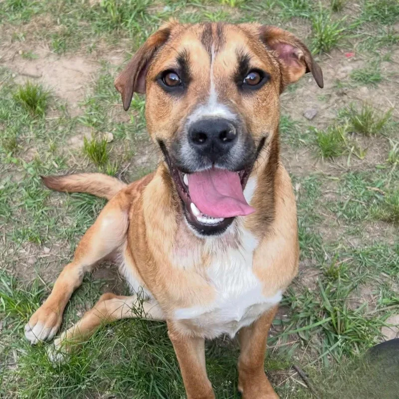 Gus