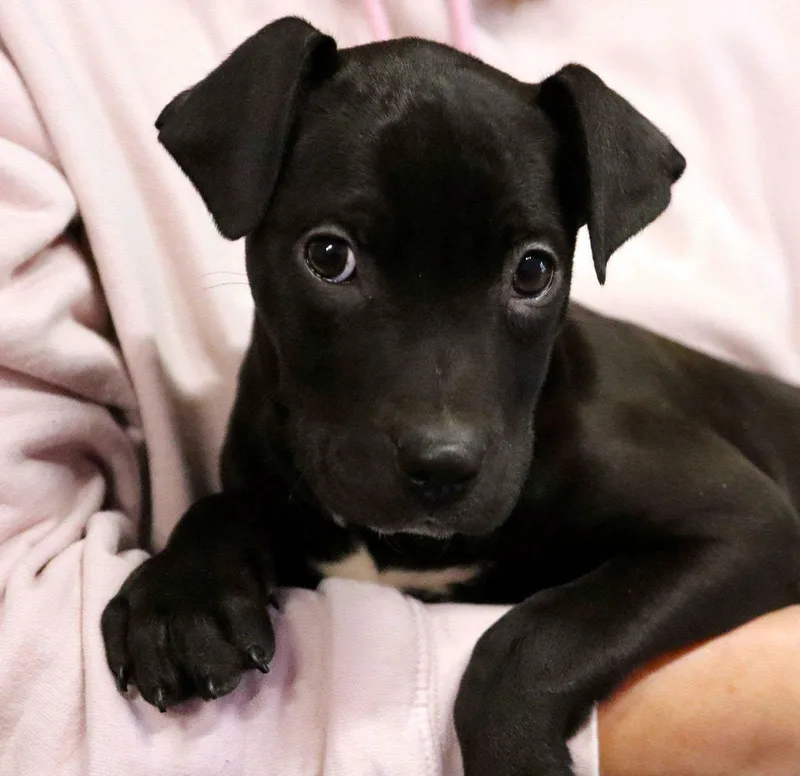 Emmylou Cl thumbnail 2