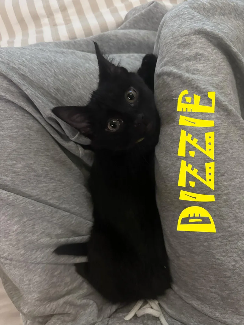 Dizzie