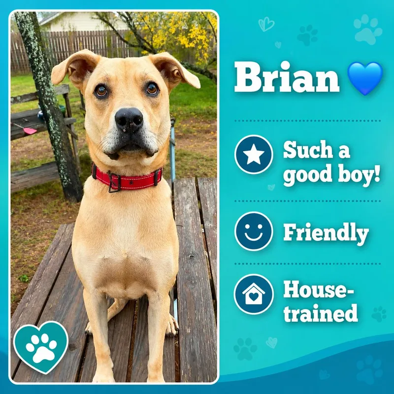 Brian thumbnail 4