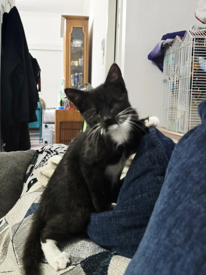 Harriet thumbnail 4