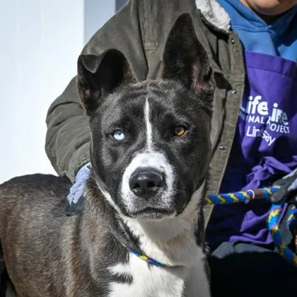 Neufchatel thumbnail 5