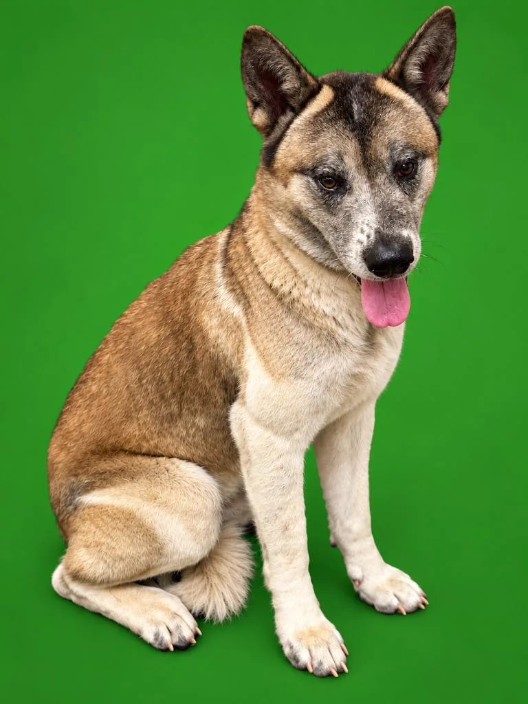 Keeta