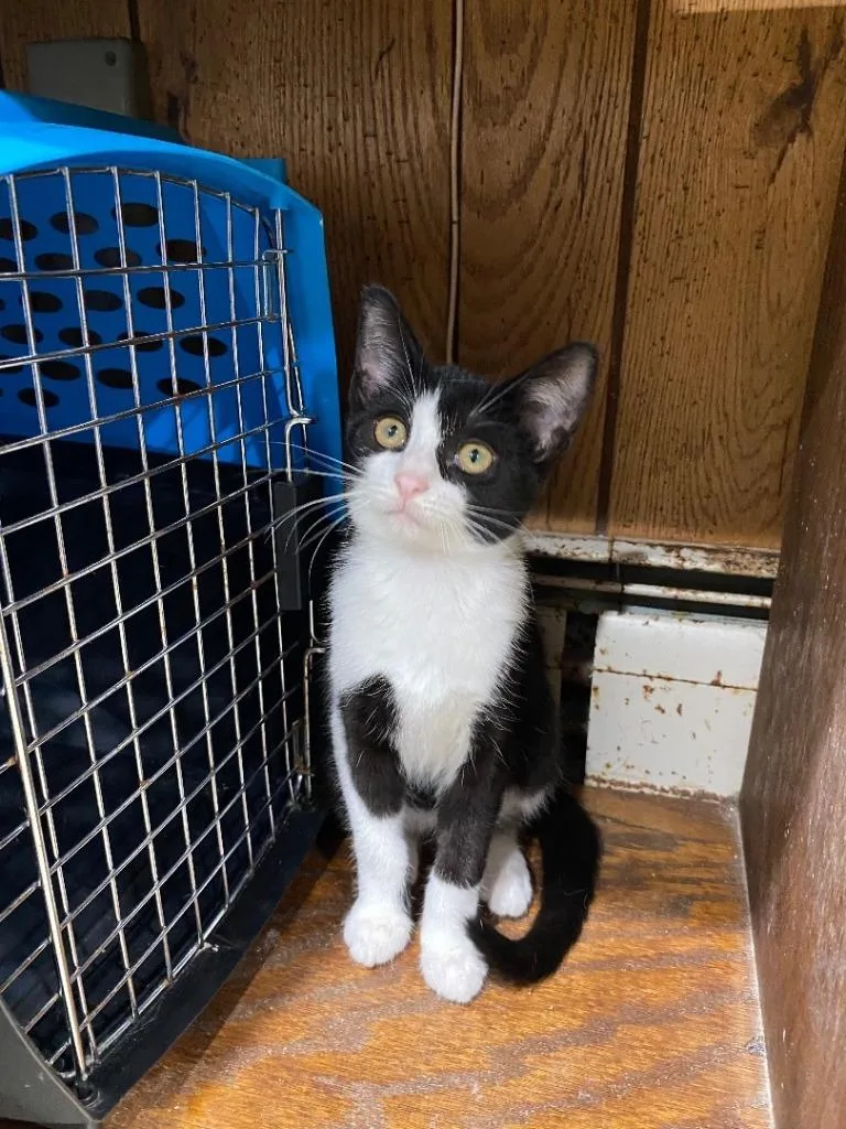 Emmy Lou thumbnail 4