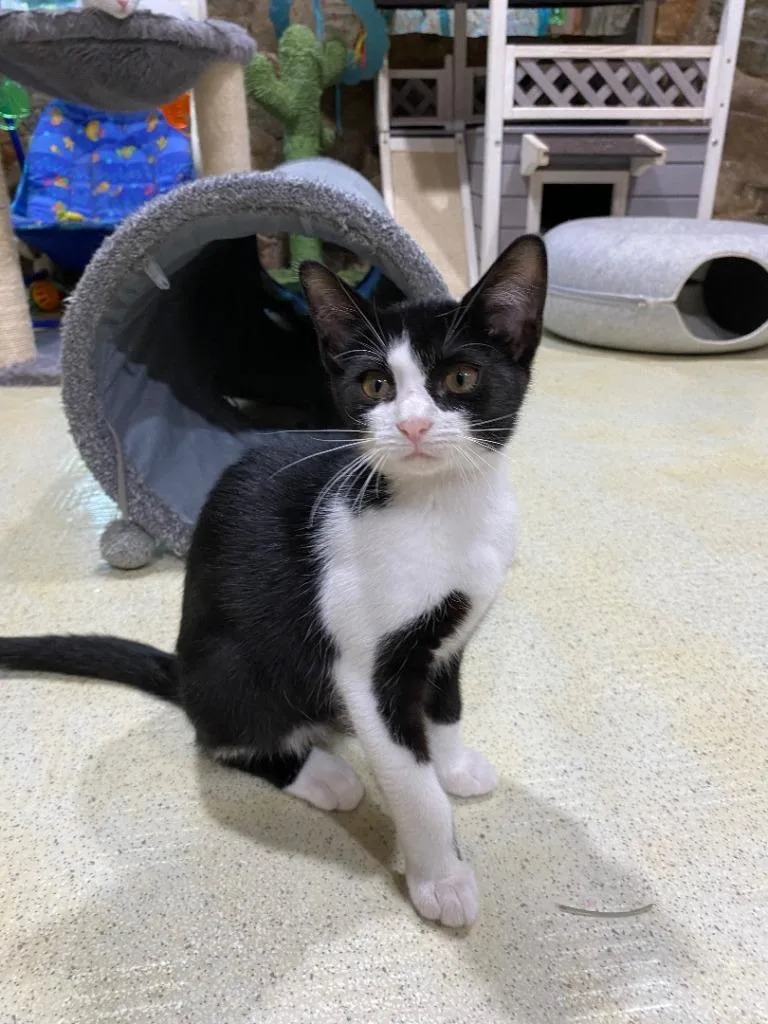 Emmy Lou thumbnail 5