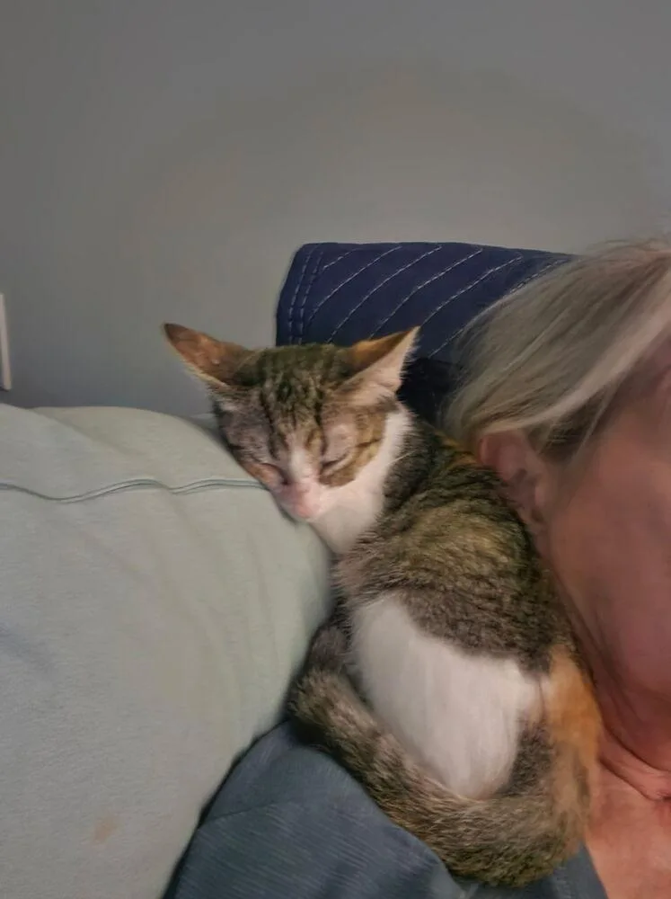 Lily thumbnail 2