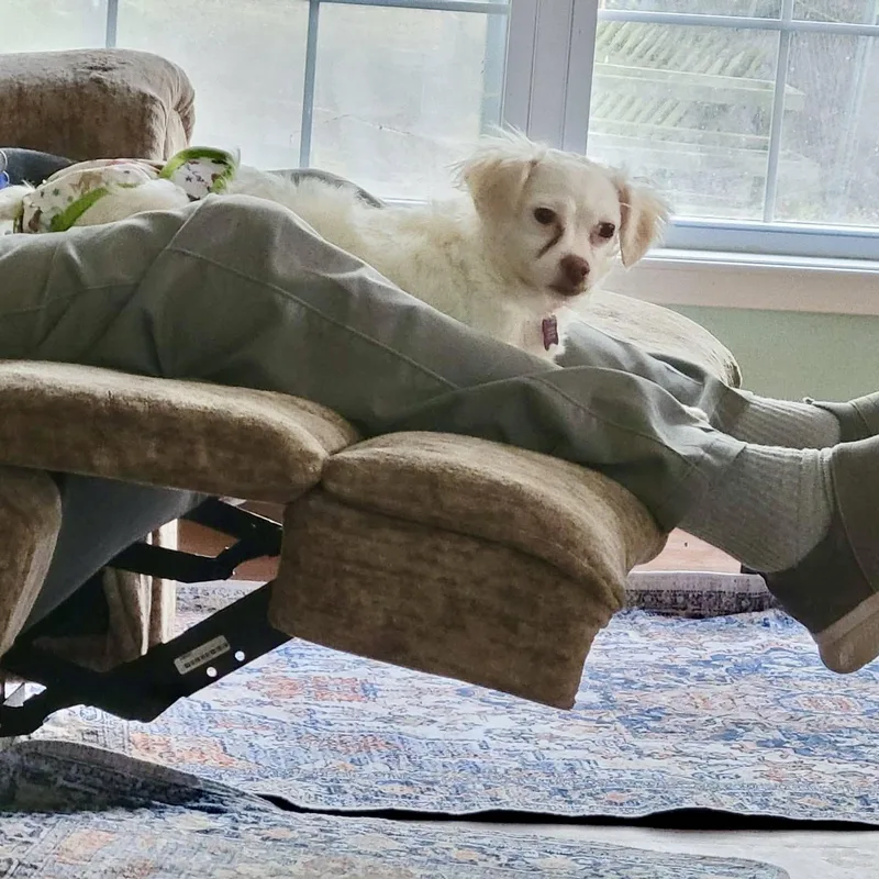 Miss Toots thumbnail 2