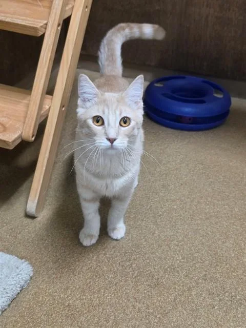 Sammy