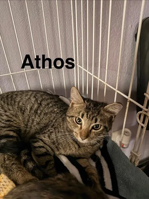 Athos