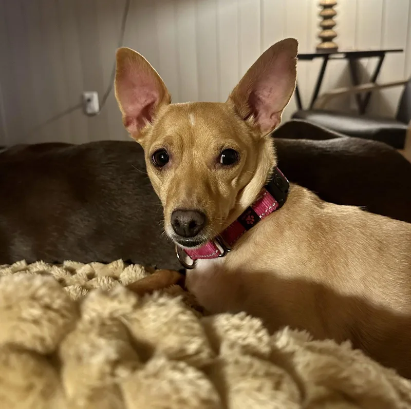 Maggie
