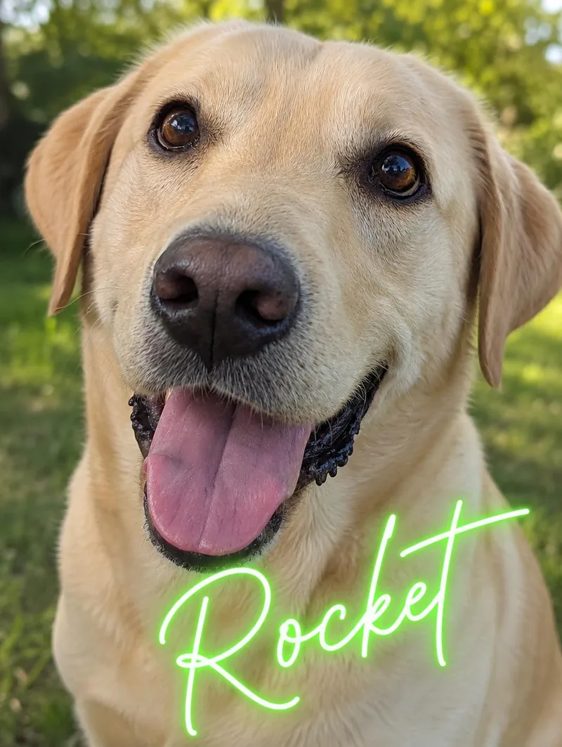 Rocket