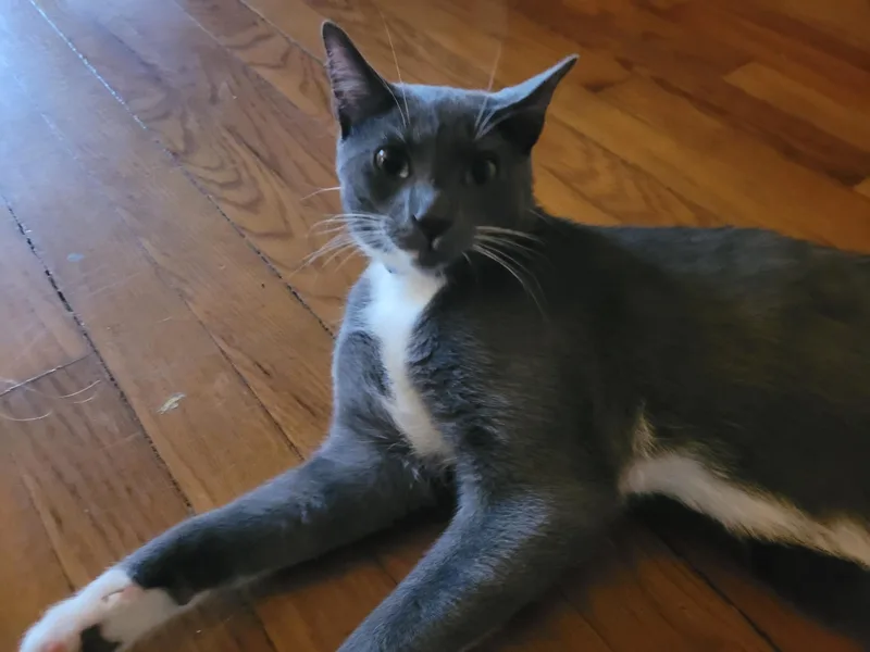 Boots & Devon  thumbnail 2