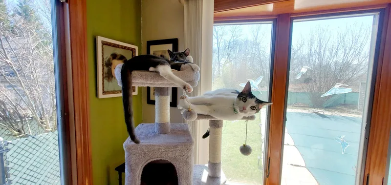 Boots & Devon  thumbnail 3