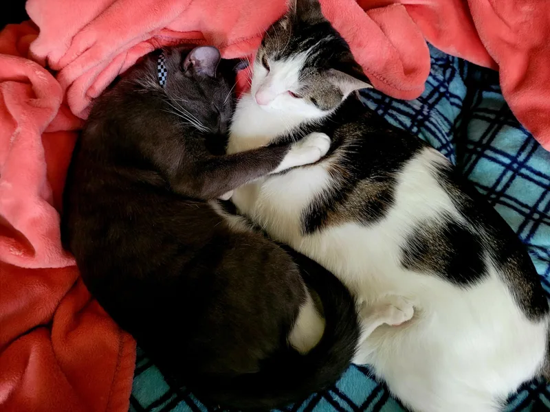 Boots & Devon  thumbnail 5