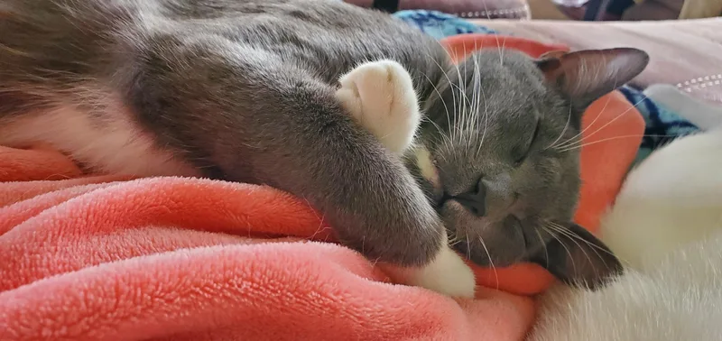 Boots & Devon  thumbnail 6