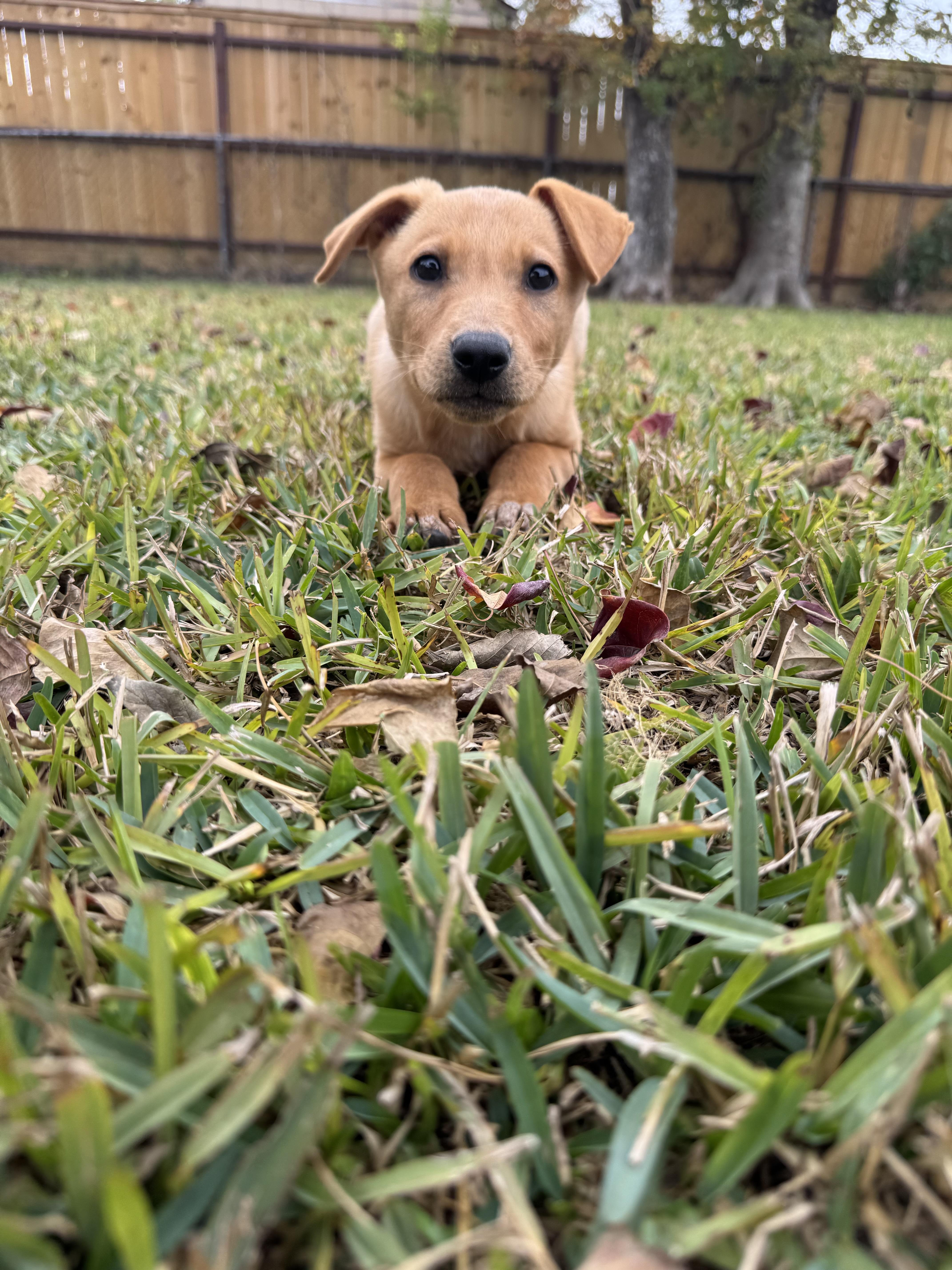 Stevie Nicks thumbnail 3