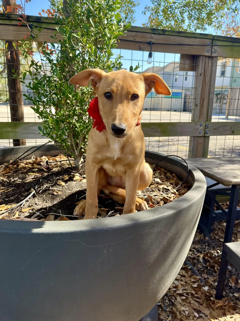 Stevie Nicks thumbnail 5