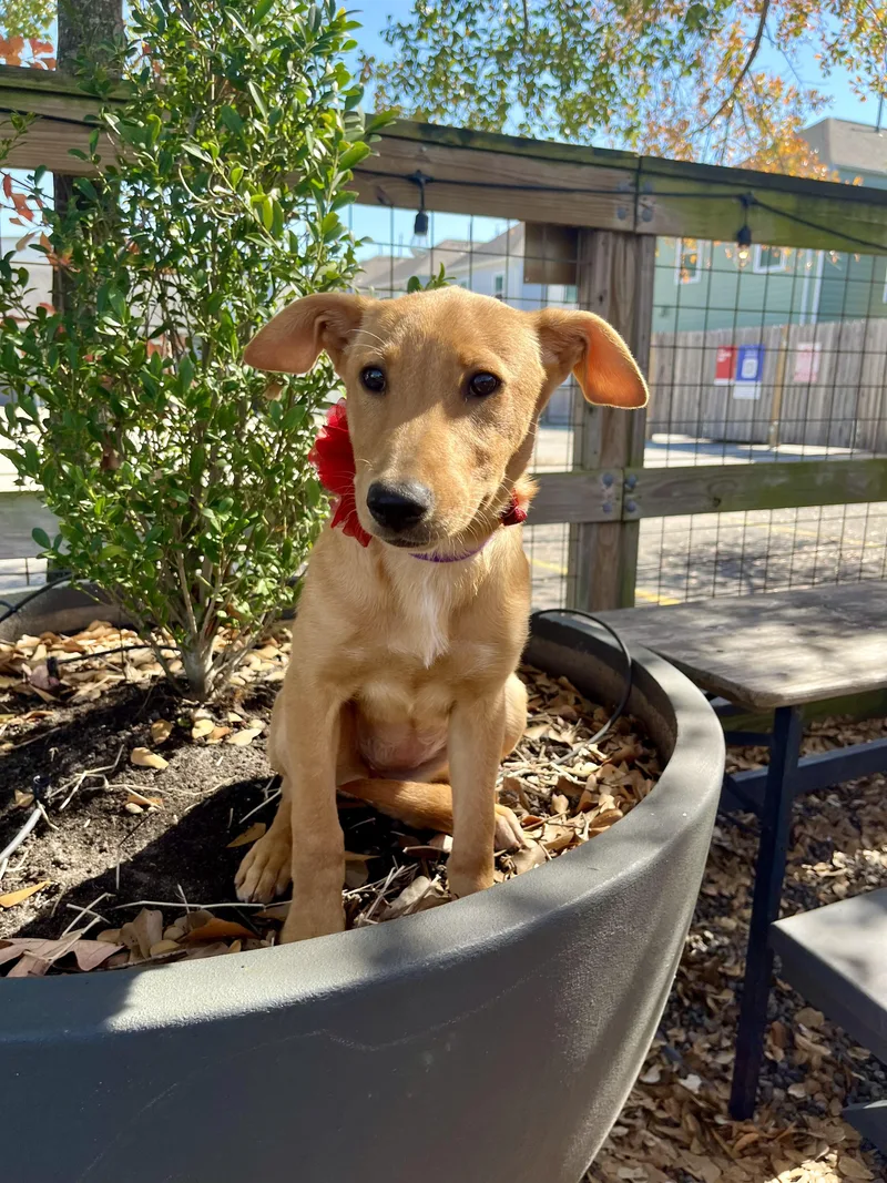 Stevie Nicks thumbnail 6