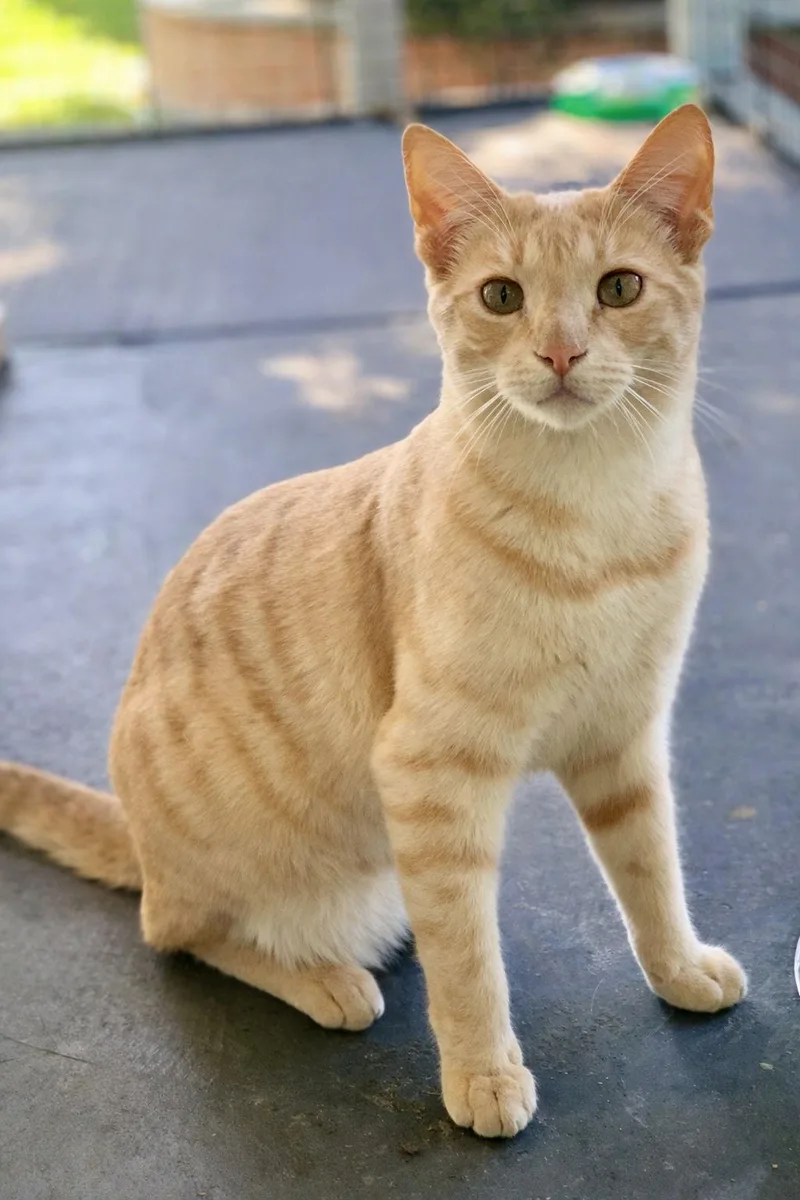 Taylor And Swift thumbnail 3