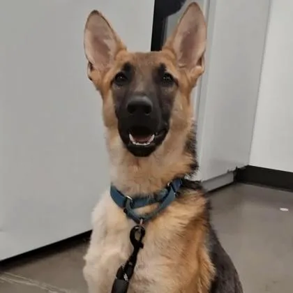 Greta