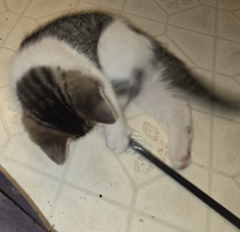 Brownie Batter thumbnail 3