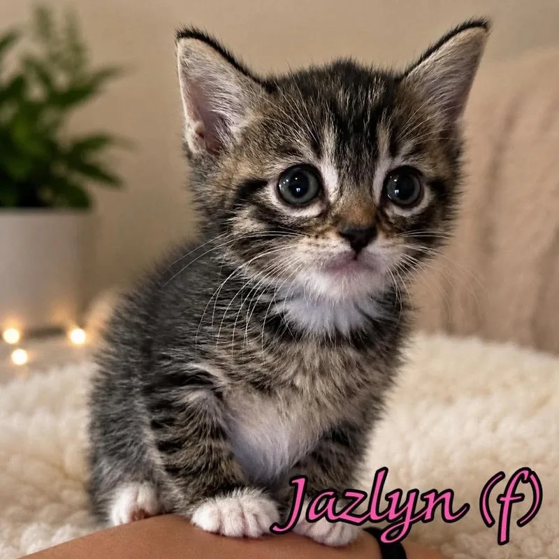 Jazlyn
