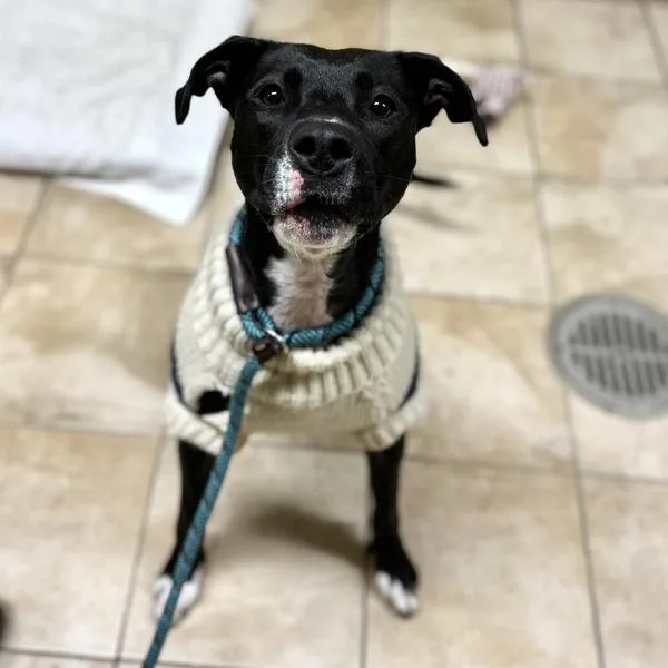 Baby Girl thumbnail 2